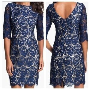 Eliza J blue cream lace sheath dress KX B1